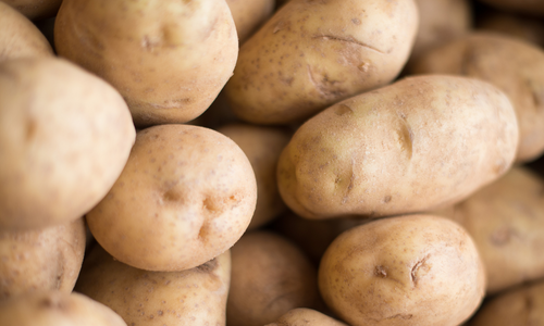 Russet potatoes