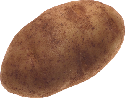 Potato