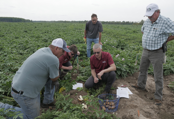 Rogers City Field Day