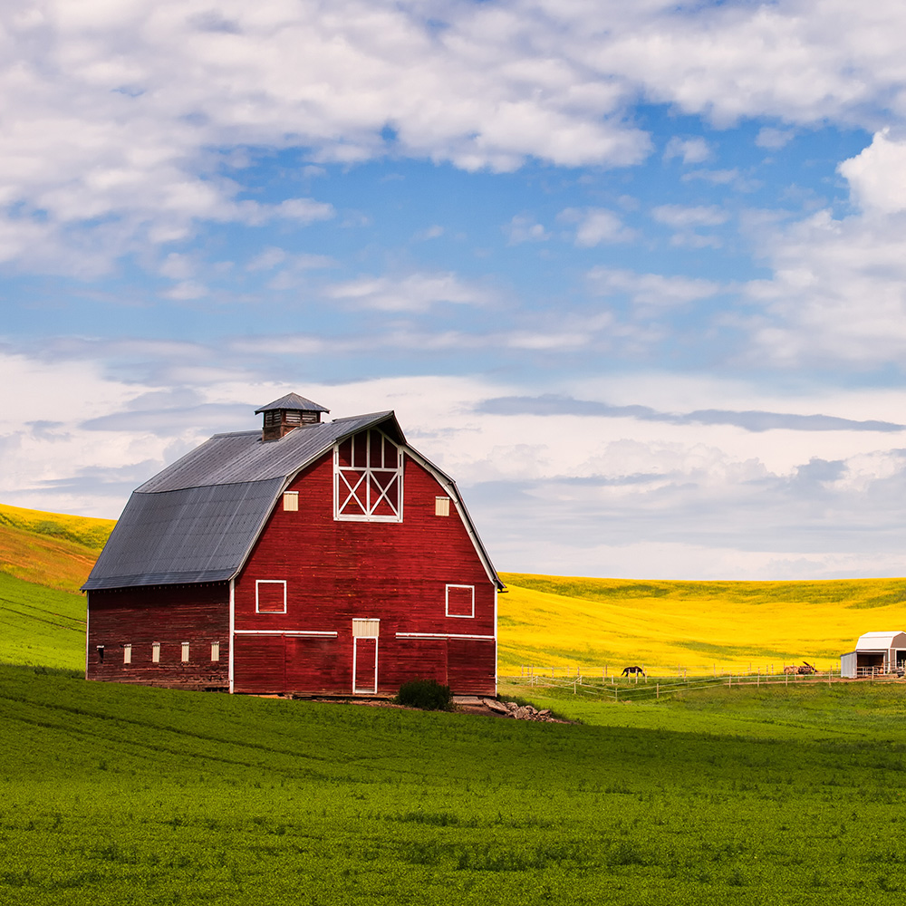 Barn