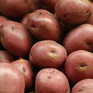 Red Potatoes