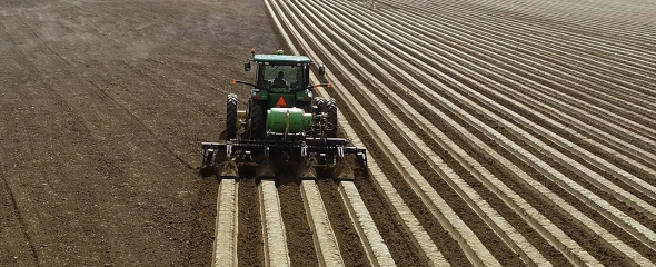 TriEst Ag fields