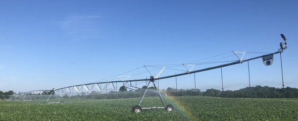reinke pivot