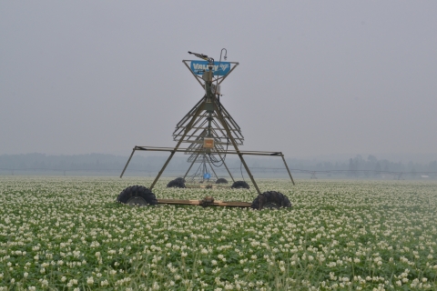 center pivot